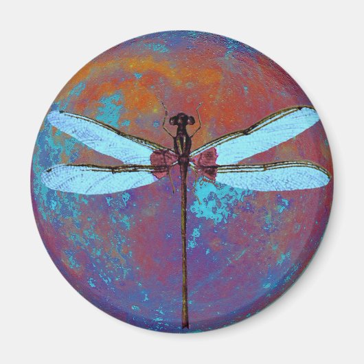 Dragonflight Magnet (Vorne)
