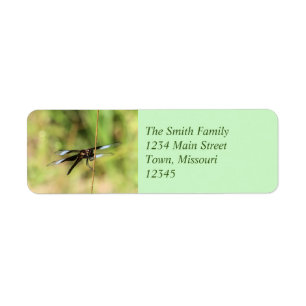 Dragonfly