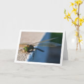 Dragonfly am Rand Karte (Gelbe Blume)