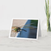 Dragonfly am Rand Karte (Vorderseite)