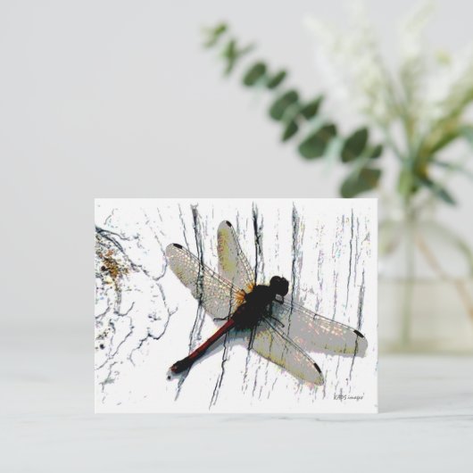 Dragonfly Art Postkarte (Stehend Vorderseite)