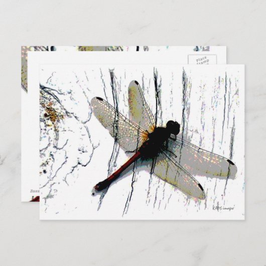 Dragonfly Art Postkarte (Vorne/Hinten)
