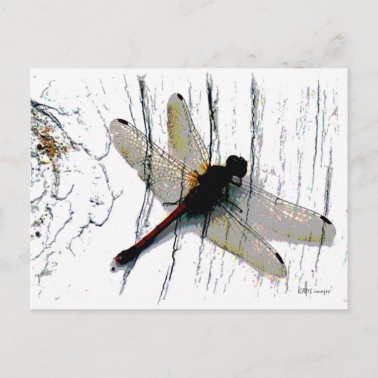 Dragonfly Art Postkarte (Vorderseite)