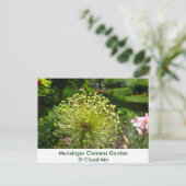 Dragonfly at Munsinger Garden Postkarte (Stehend Vorderseite)