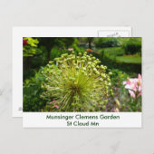 Dragonfly at Munsinger Garden Postkarte (Vorne/Hinten)