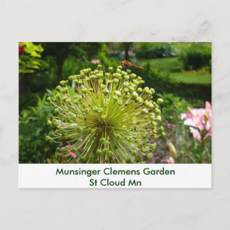 Dragonfly at Munsinger Garden Postkarte