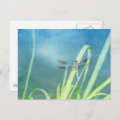 Dragonfly auf blau postkarte (Vorne/Hinten)