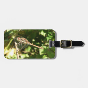 Dragonfly auf dem Dwig Custom Luggage Tag Gepäckanhänger