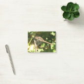 Dragonfly auf dem Twig-Post-Noten Post-it Klebezettel (Büro)