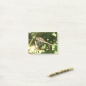 Dragonfly auf dem Twig-Post-Noten Post-it Klebezettel (Auf Schreibtisch)