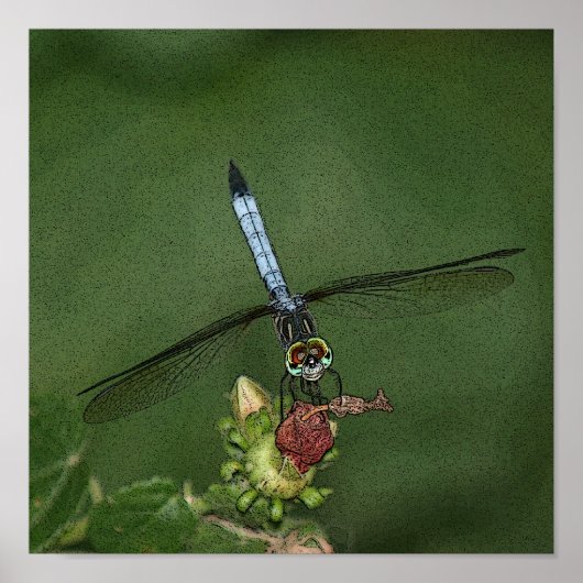 Dragonfly auf der Blume Foto Print Poster (Vorne)