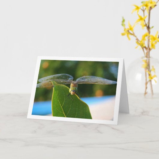Dragonfly auf der grünen Linke Karte (Gelbe Blume)