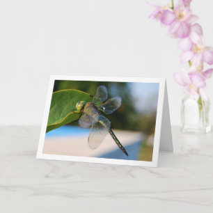Dragonfly auf der grünen Linke Karte
