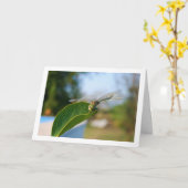 Dragonfly auf der grünen Linke Karte (Gelbe Blume)