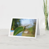 Dragonfly auf der grünen Linke Karte (Vorderseite)