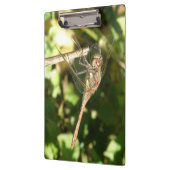 Dragonfly auf der Twig-Clipboard Klemmbrett (Links)