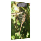 Dragonfly auf der Twig-Clipboard Klemmbrett (Rechts)