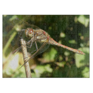 Dragonfly auf der Twig Cutting Board Schneidebrett