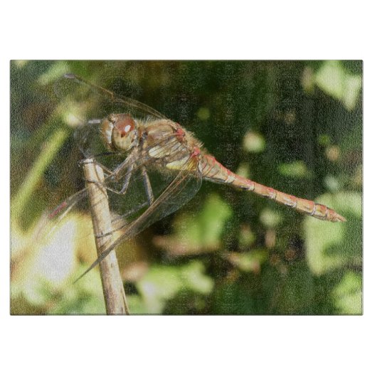 Dragonfly auf der Twig Cutting Board Schneidebrett (Vorderseite)