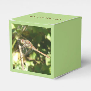 Dragonfly auf der Twig-Gunst-Box Geschenkschachtel