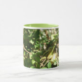 Dragonfly auf der Twig-Tasse Tasse (Zentrum)