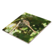 Dragonfly auf der Twig-Tile Fliese (Seite)