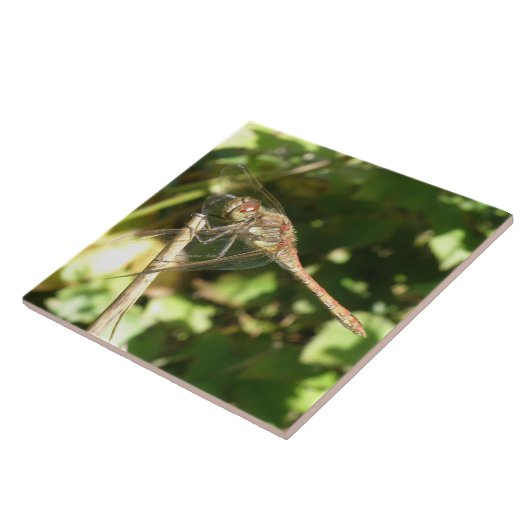 Dragonfly auf der Twig-Tile Fliese (Seite)