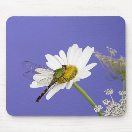 Dragonfly auf der White Daisy Mousepad (Vorne)