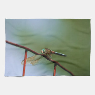 Dragonfly auf Drahtzaun Nah Geschirrtuch