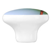 Dragonfly auf Drahtzaun Nah  Keramikknauf (Seitenansicht)