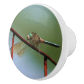 Dragonfly auf Drahtzaun Nah  Keramikknauf (Rechts)