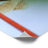 Dragonfly auf Drahtzaun Nah Poster (Ecke)