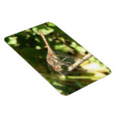 Dragonfly auf einem Twig Flexi Magnet (Rechte Seite)