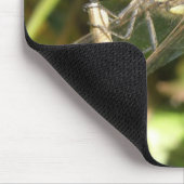 Dragonfly auf einem Twig-Macro-Mousepad Mousepad (Ecke)