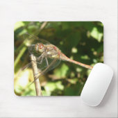 Dragonfly auf einem Twig-Macro-Mousepad Mousepad (Mit Mouse)