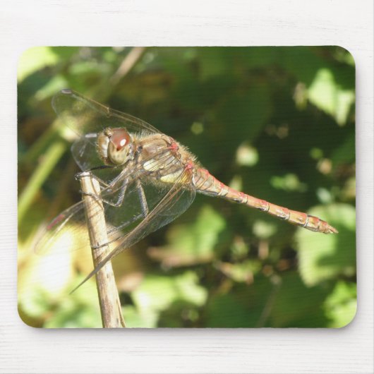 Dragonfly auf einem Twig-Macro-Mousepad Mousepad (Vorne)