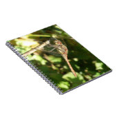 Dragonfly auf einem Twig-Notebook Notizblock (Rechte Seite)