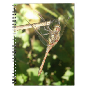 Dragonfly auf einem Twig-Notebook Notizblock