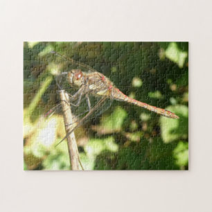 Dragonfly auf einem Twig-Puzzle Puzzle