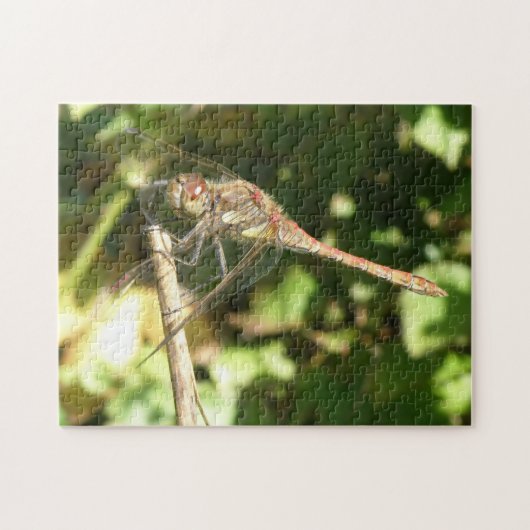 Dragonfly auf einem Twig-Puzzle Puzzle (Horizontal)