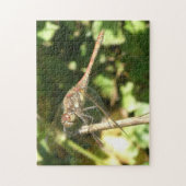 Dragonfly auf einem Twig-Puzzle Puzzle (Vertikal)