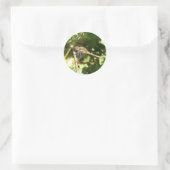 Dragonfly auf einem Twig Stickers (Tasche)