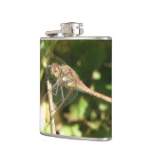 Dragonfly auf einer Twig-Flasche Flachmann (Links)