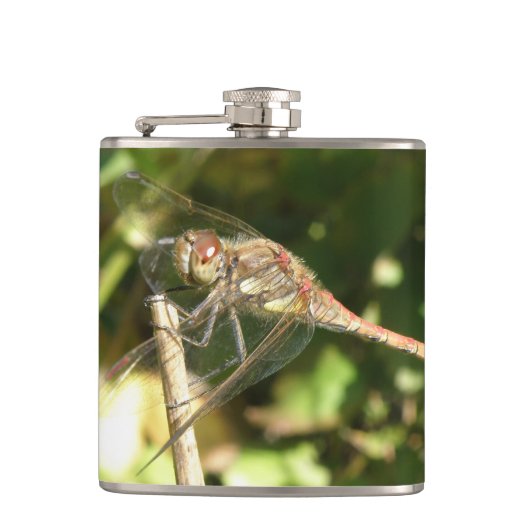 Dragonfly auf einer Twig-Flasche Flachmann (Vorderseite)