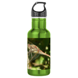 Dragonfly auf einer Twig-Wasser-Flasche Edelstahlflasche