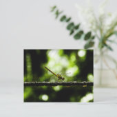 Dragonfly auf Grün - Postkarten (Stehend Vorderseite)