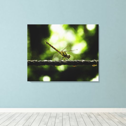 Dragonfly auf Grün - Wrapped Canvas Leinwanddruck (Insitu (Holzboden))