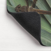 Dragonfly auf Pflanze Mousepad (Ecke)