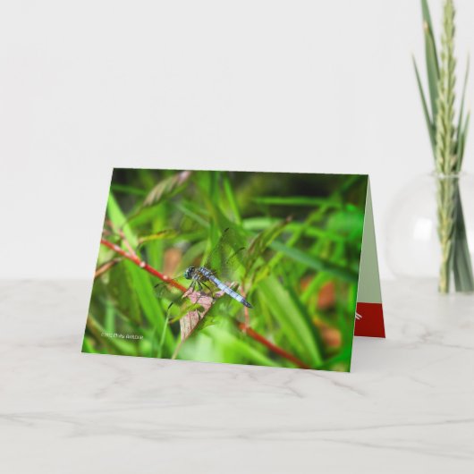 Dragonfly auf rotem Blatt Karte (Vorderseite)