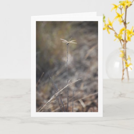 Dragonfly auf Stalk Portrait Karte (Gelbe Blume)